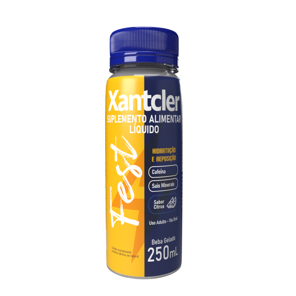 Imagem do produto BEBIDA XANTCLER FEST SABOR CITRUS 250ML