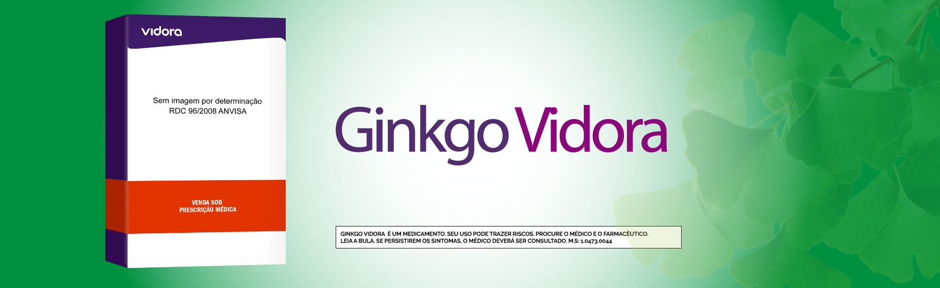 Imagem do produto GINKGO 120MG VIDORA
